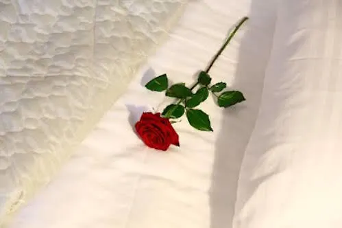 摩登艺术酒店 利沃夫